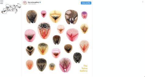 instagram pussy|The Vulva Gallery (@the.vulva.gallery) .